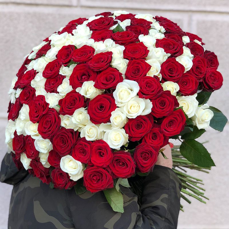 151 троянда мікс червоно-біла 60 см